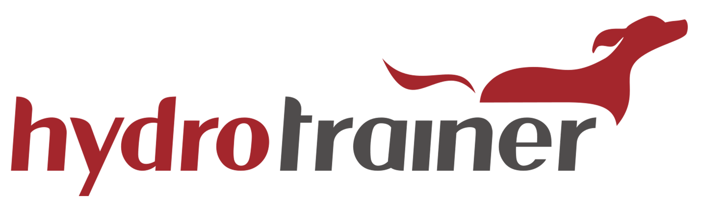 Unterwasserlaufband für Hunde