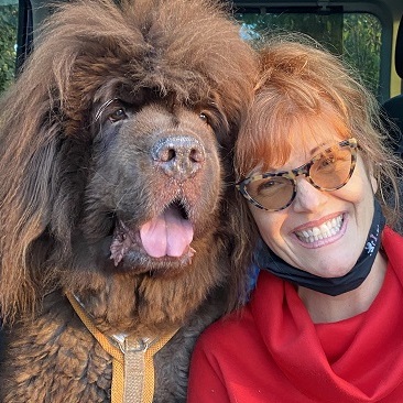 Unterwasserlaufband für Hunde